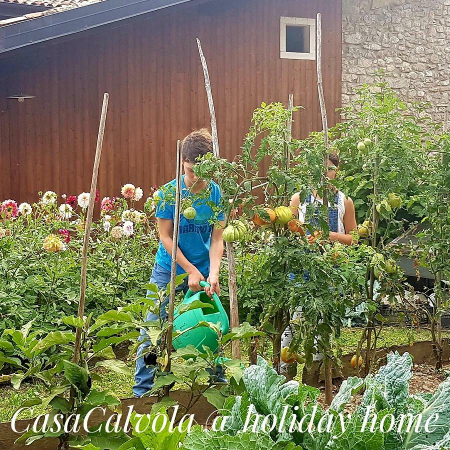 Casa Calvola Holiday Home Tenno Luaran gambar